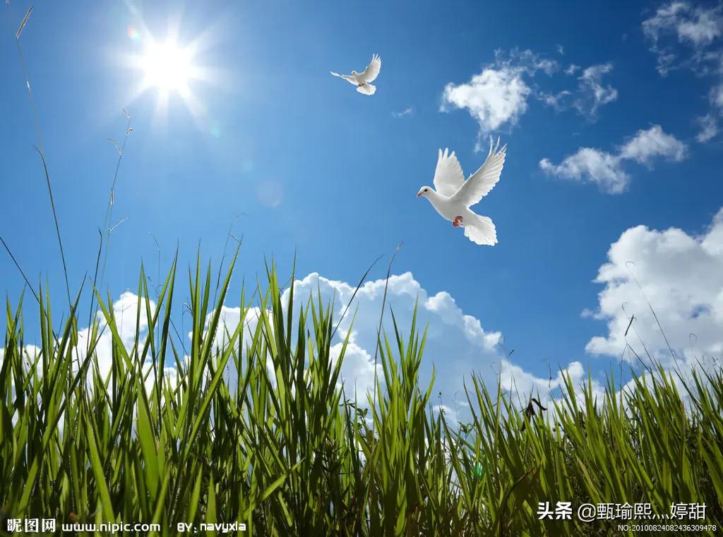 过了520还有521的说说,过了520还有521