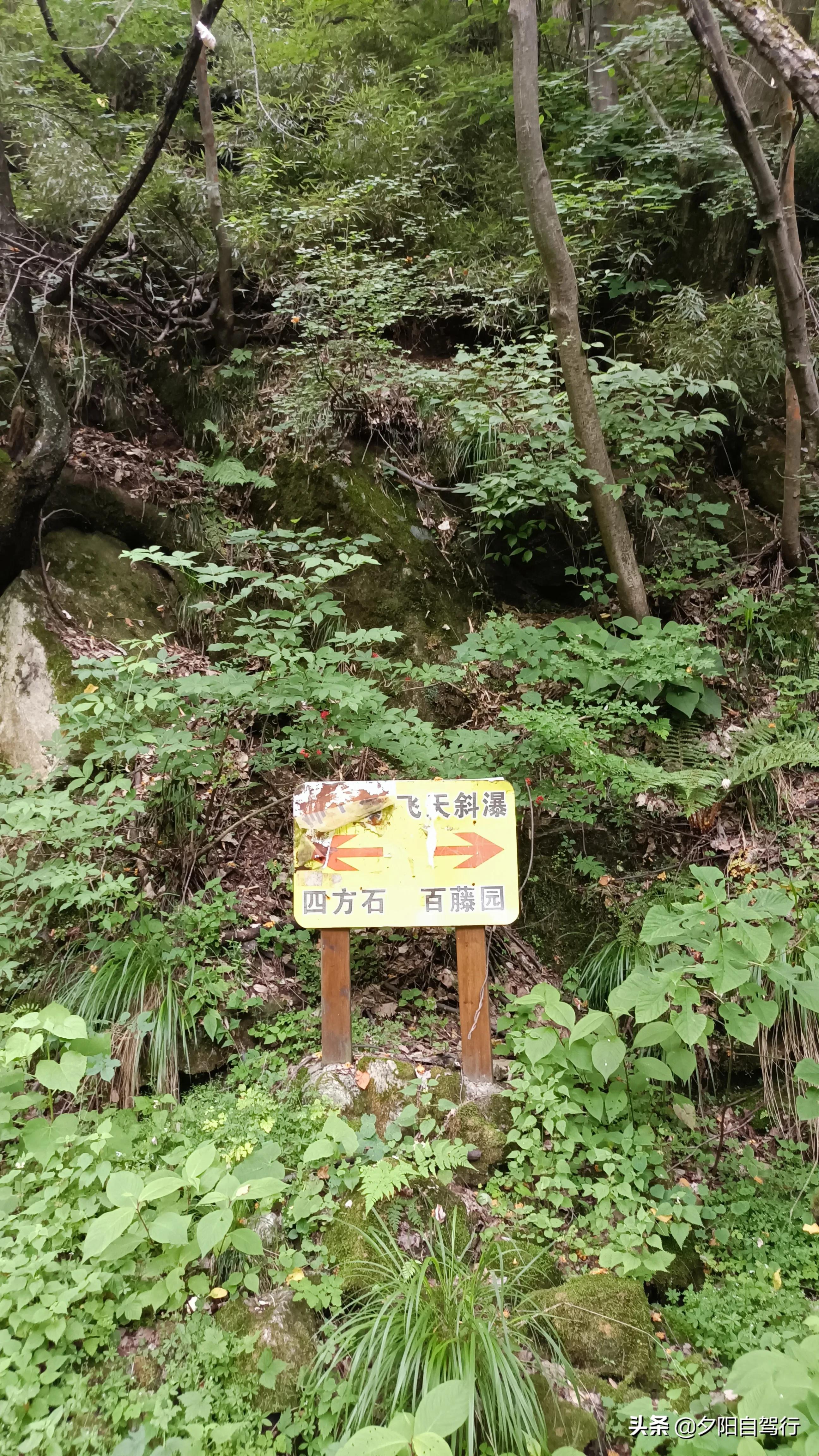 端午节合浦一日游必去景点,端午三日游贵州旅游攻略