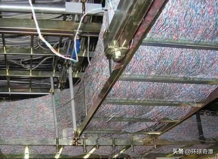 自然界中的庞然大物,自然界奇形怪状的东西