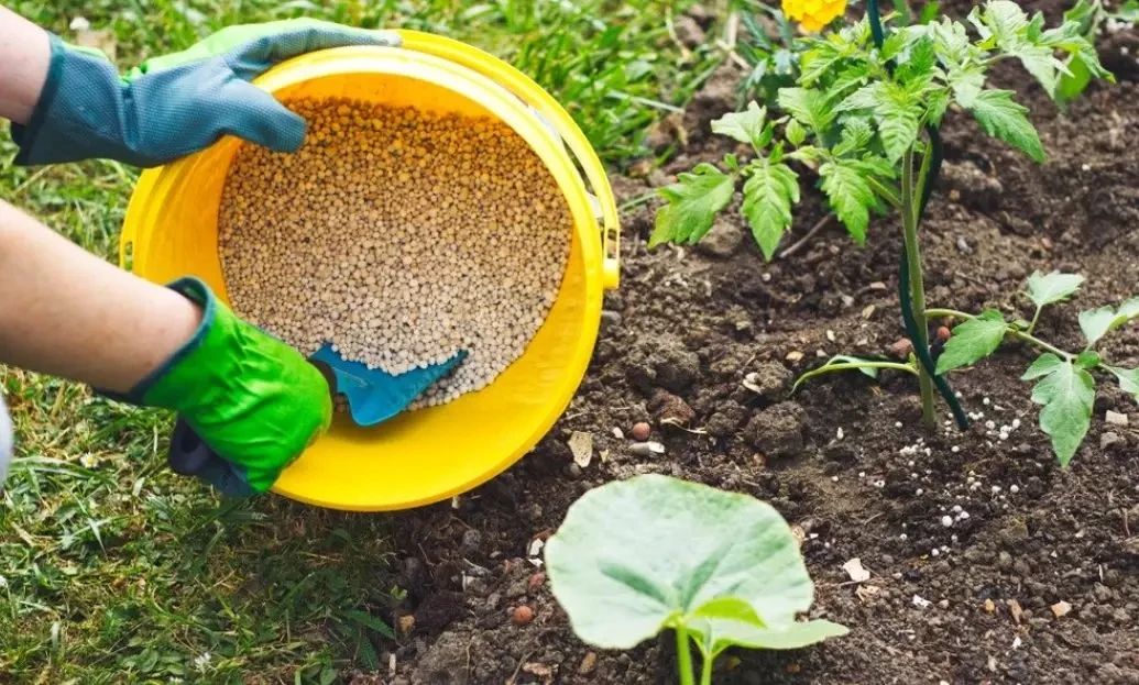 五种养花营养水,4种浇花水