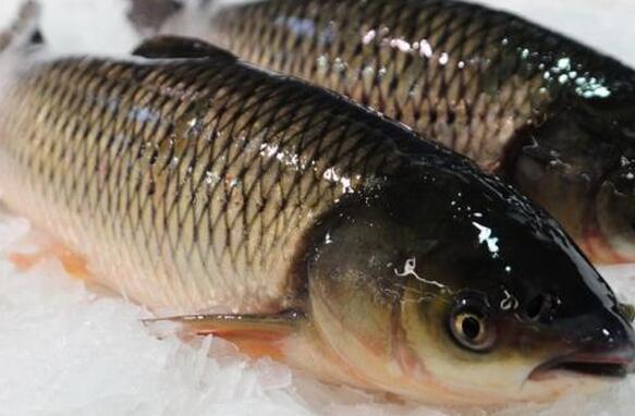 同样是鱼肉，“肚子大”和“肚子小”区别挺大，学会再买不吃亏