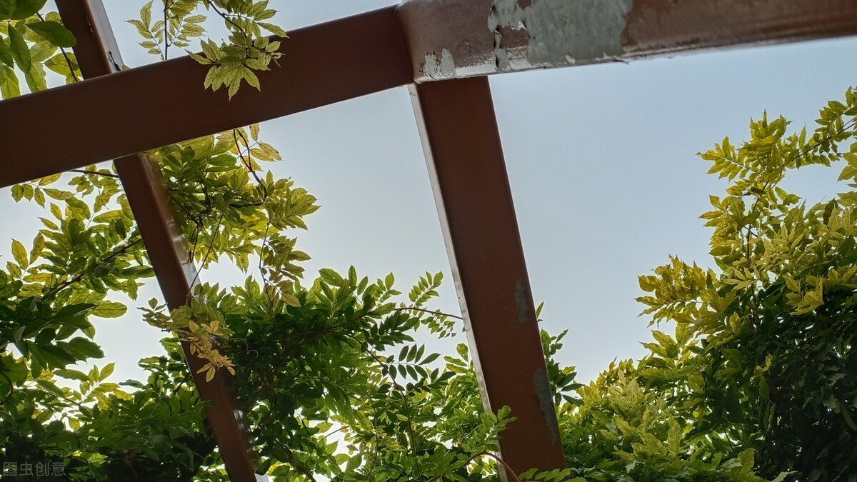 坦然面对生活中困境和逆境,面对困境乐观坦然的议论文