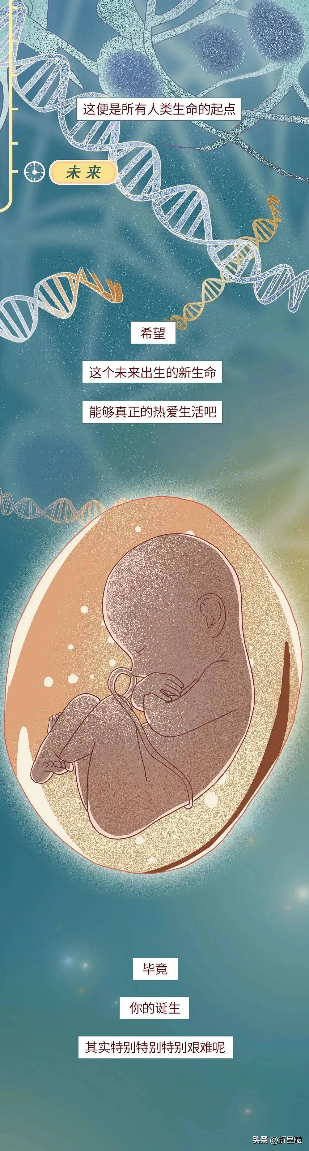 精子进入女生体内的24小时全过程曝光！