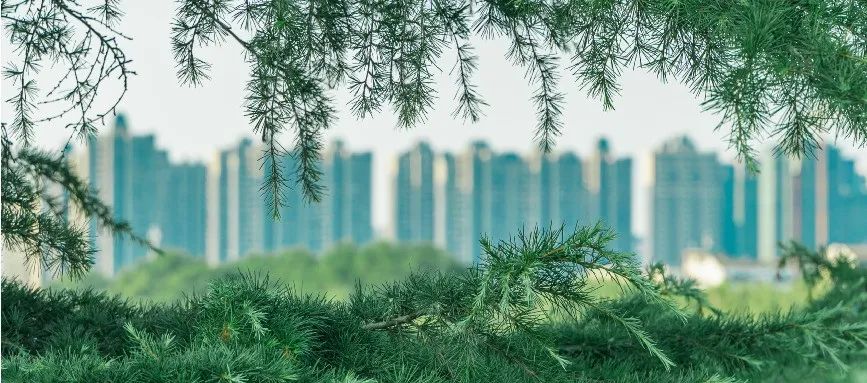 政策独宠房地产，楼市板块内卷袭来，你怎么选？