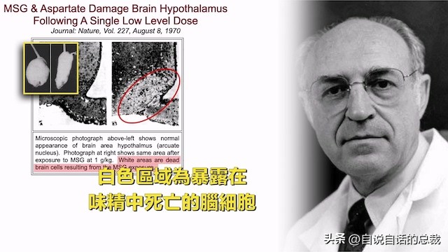 味精没有那么可怕,味精的真相