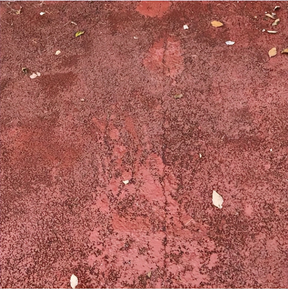 正宗彩色混凝土主要功能与优势,彩色混凝土弊端