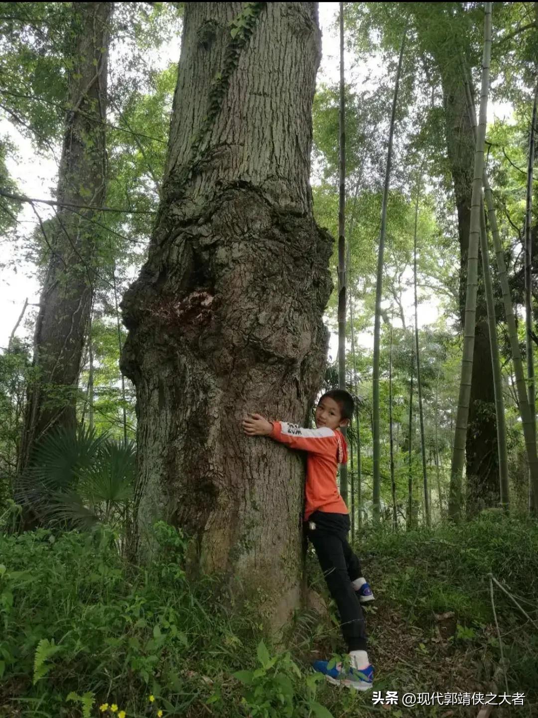 国人的“太监文化、奴才文化″不可取