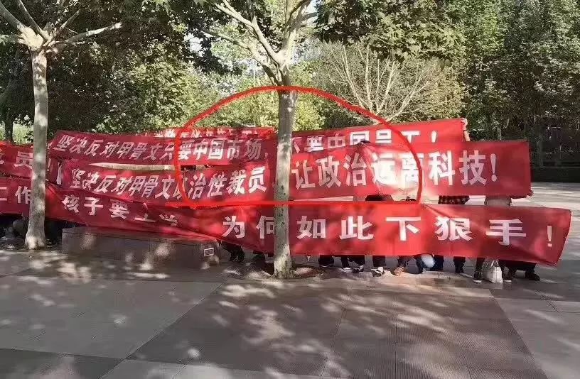 一代鞋王42亿元,中国鞋王破产能翻身吗