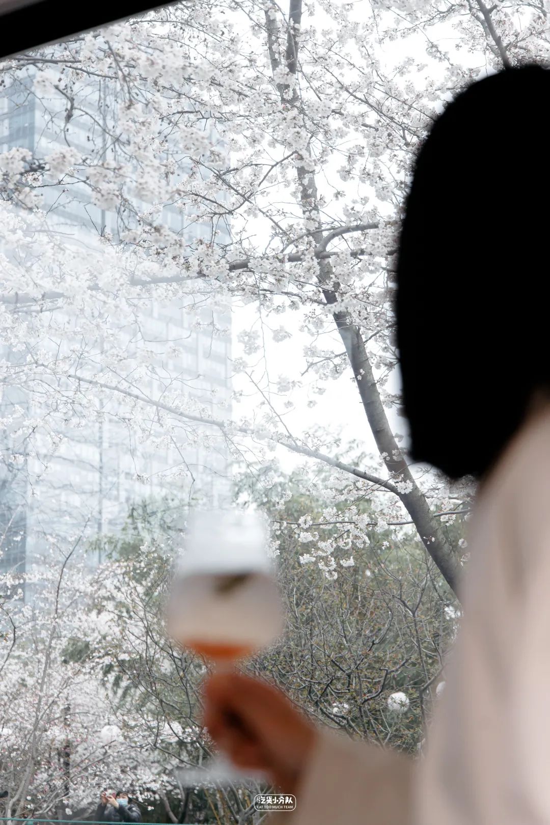 樱花最旺盛的时间,樱花最茂盛的时候是哪个季节