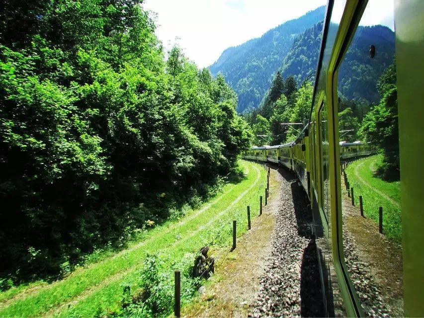 瑞士之行——从蒙特勒到格林瓦尔德