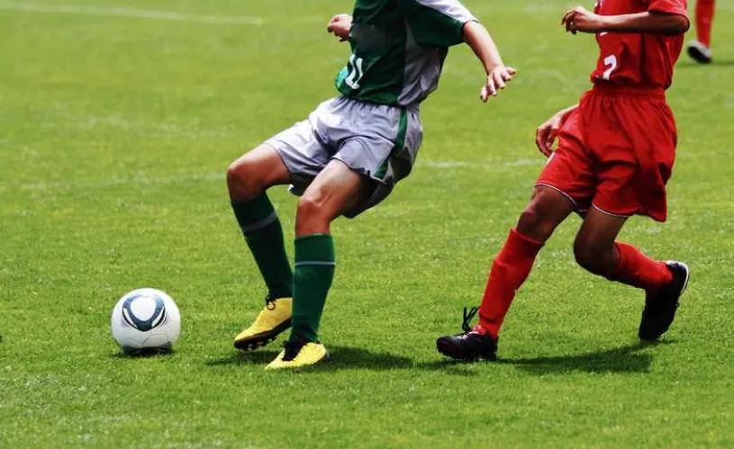 法律科普违约责任,法律知识误伤有什么赔偿