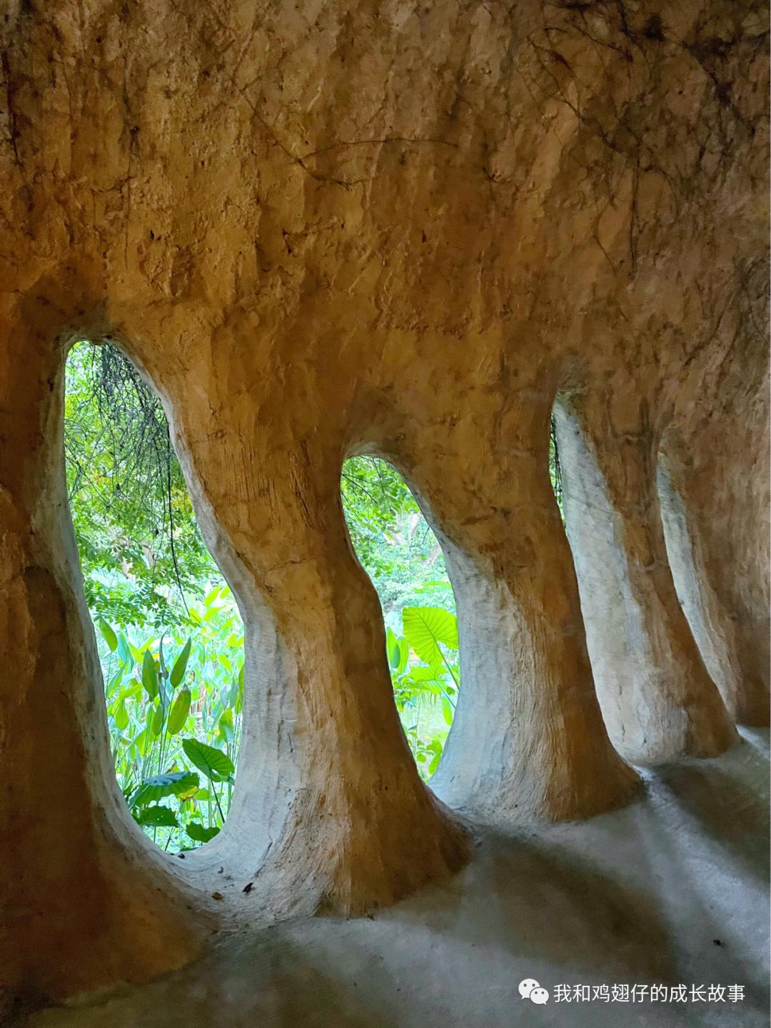 爱美丽深度解读,爱美丽150集免费观看