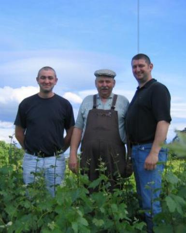 法国罗纳河谷葡萄酒,法国列级酒庄红酒推荐