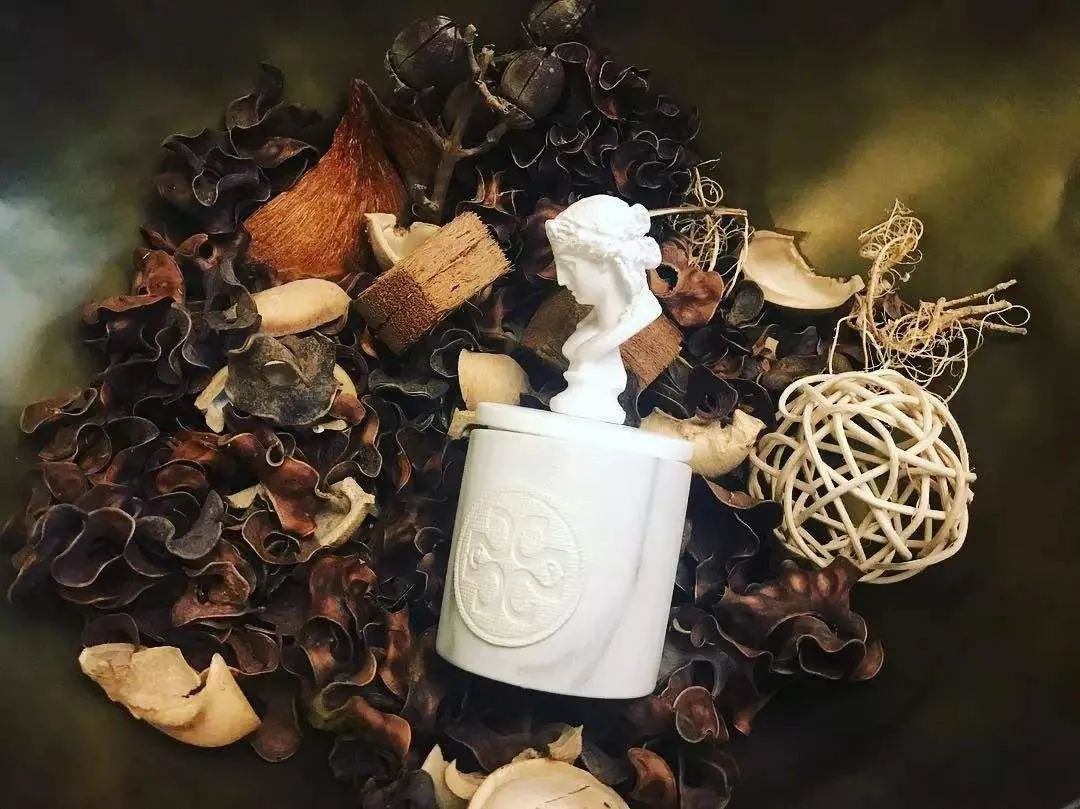 刚租的房子有宠物味怎么解决,房屋宠物有异味怎么处理