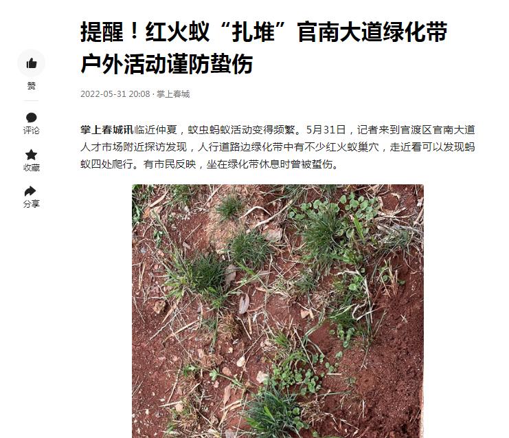 还有比红火蚁最可怕的蚂蚁吗,比红蚂蚁还可怕的蚂蚁是什么