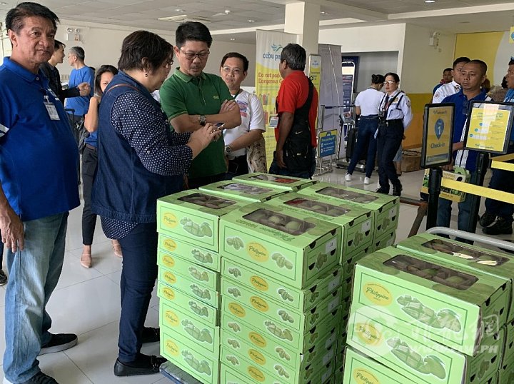 菲律宾向中国出口哪些农产品,菲律宾芒果进口审批