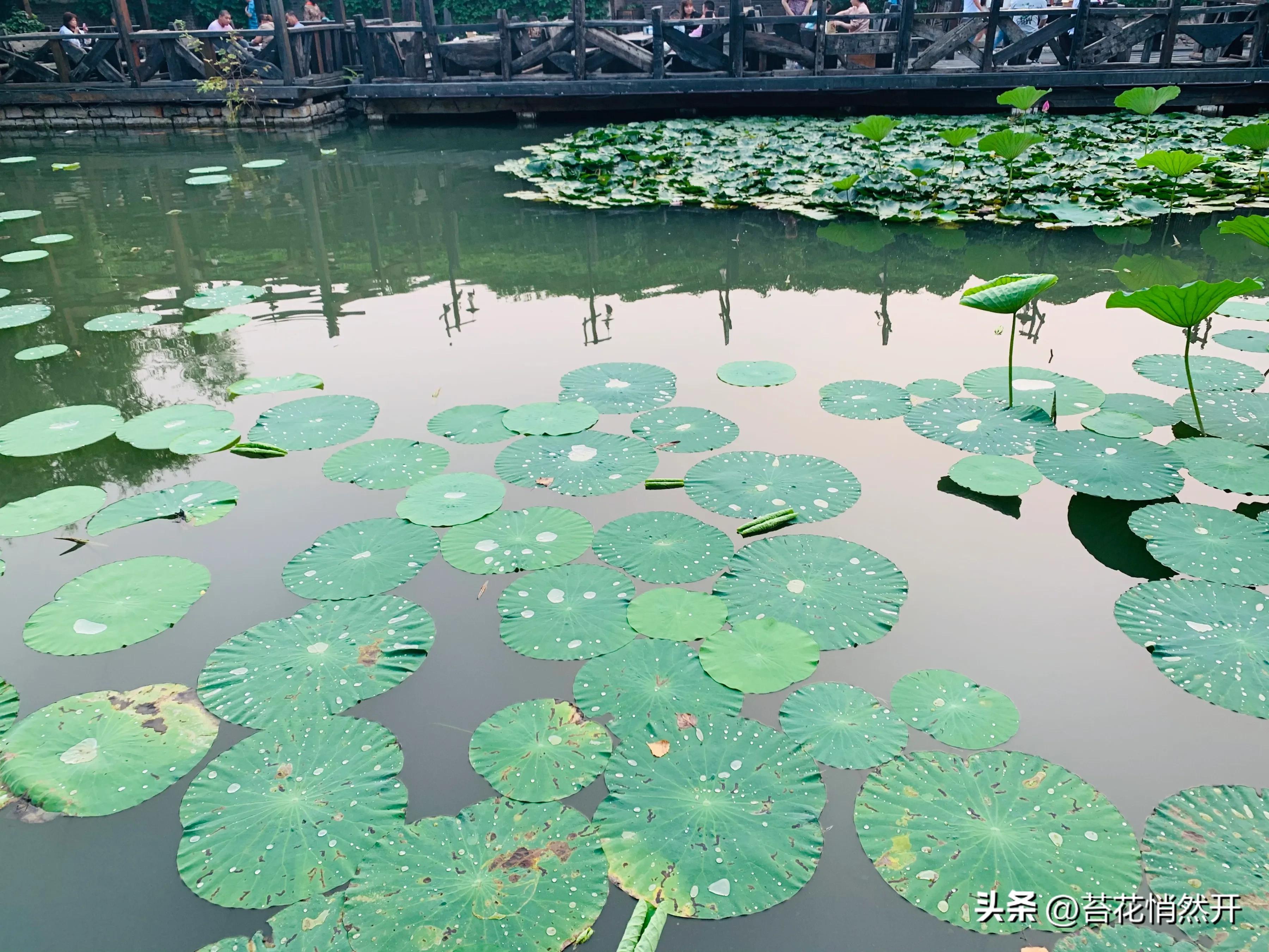 游古北水镇有感,古北水镇之旅留下美好回忆