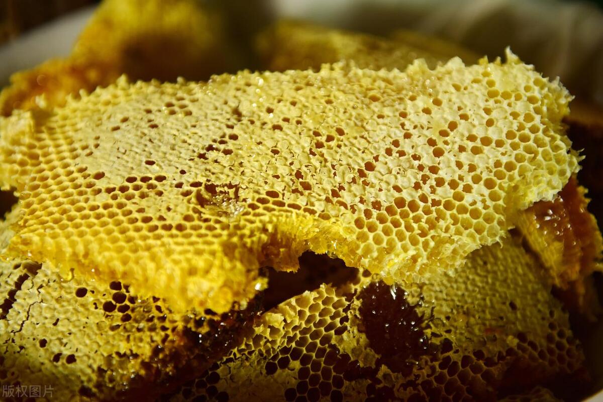 蜂蜜如何辨别真假小视频,蜂蜜怎么辨别真假视频教程