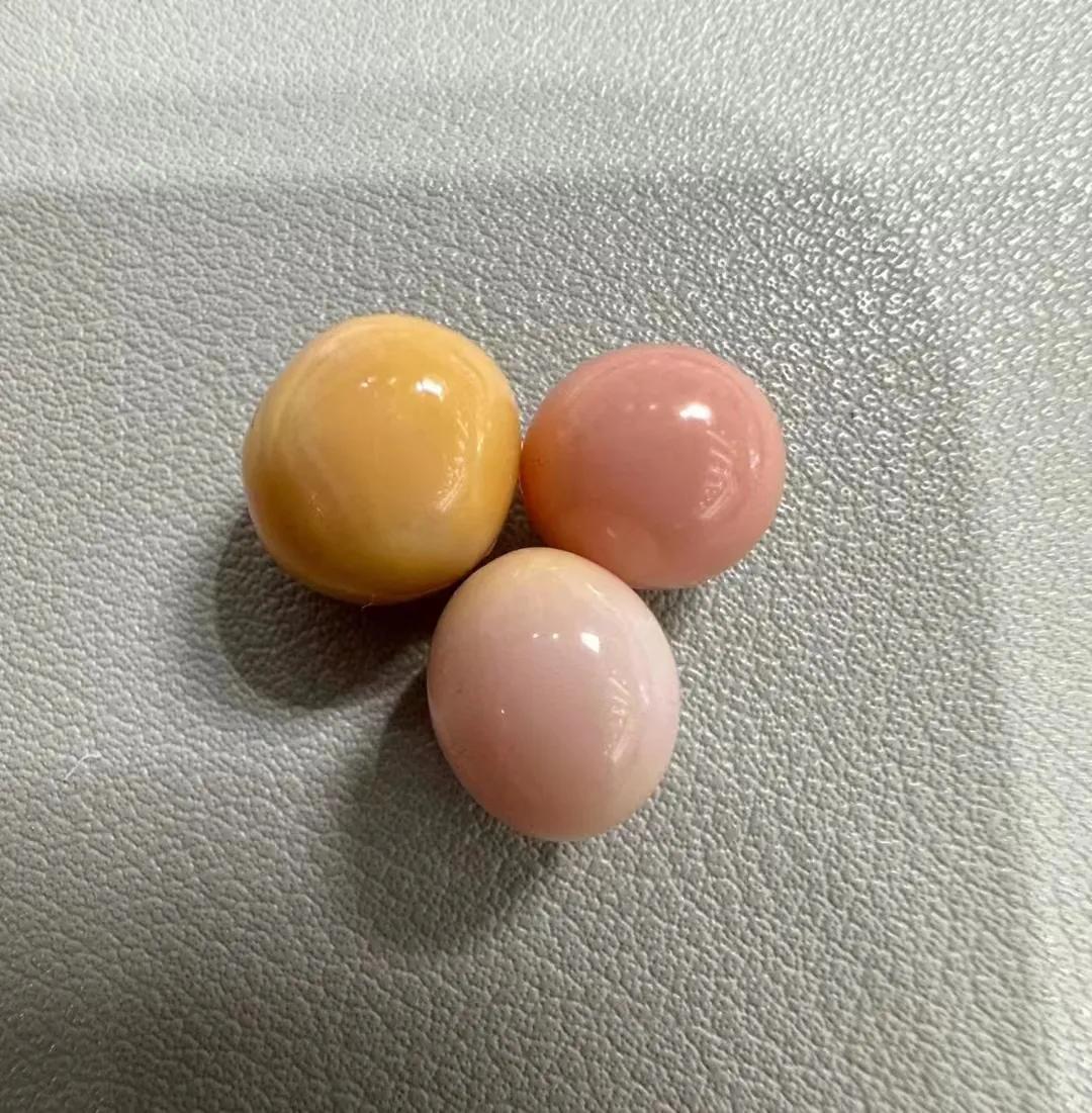 海螺珠价格多少钱一颗,海螺珠珠宝