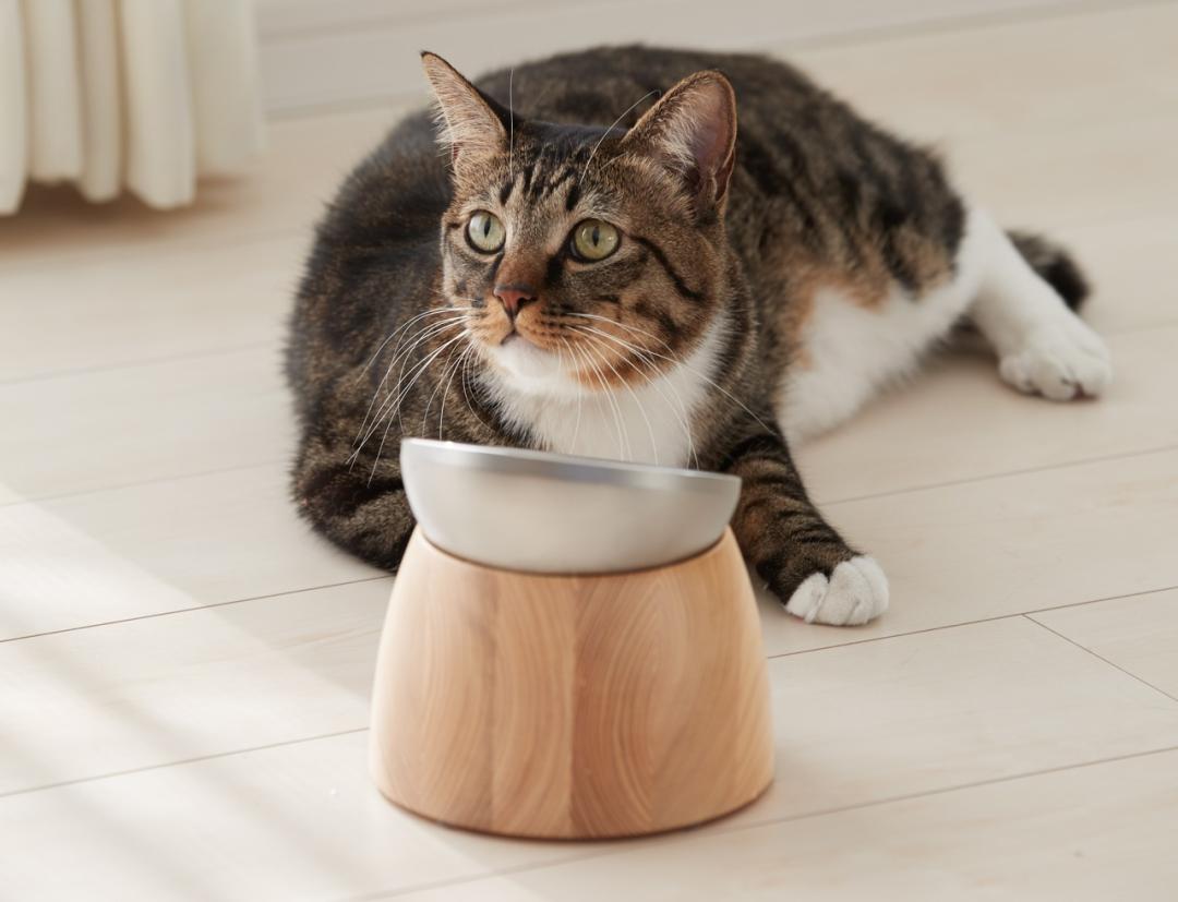 为宠物而设计,极简宠物产品