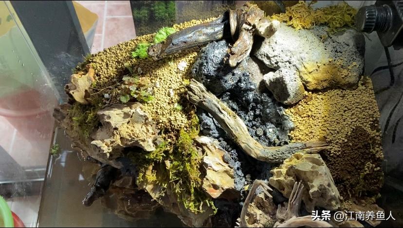 造景缸跟水陆缸一体缸,长方形的缸怎么造景水陆缸