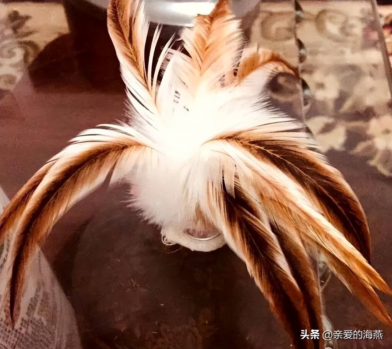 中班益智区自制玩具100例简单,童年玩具7080后的回忆自制