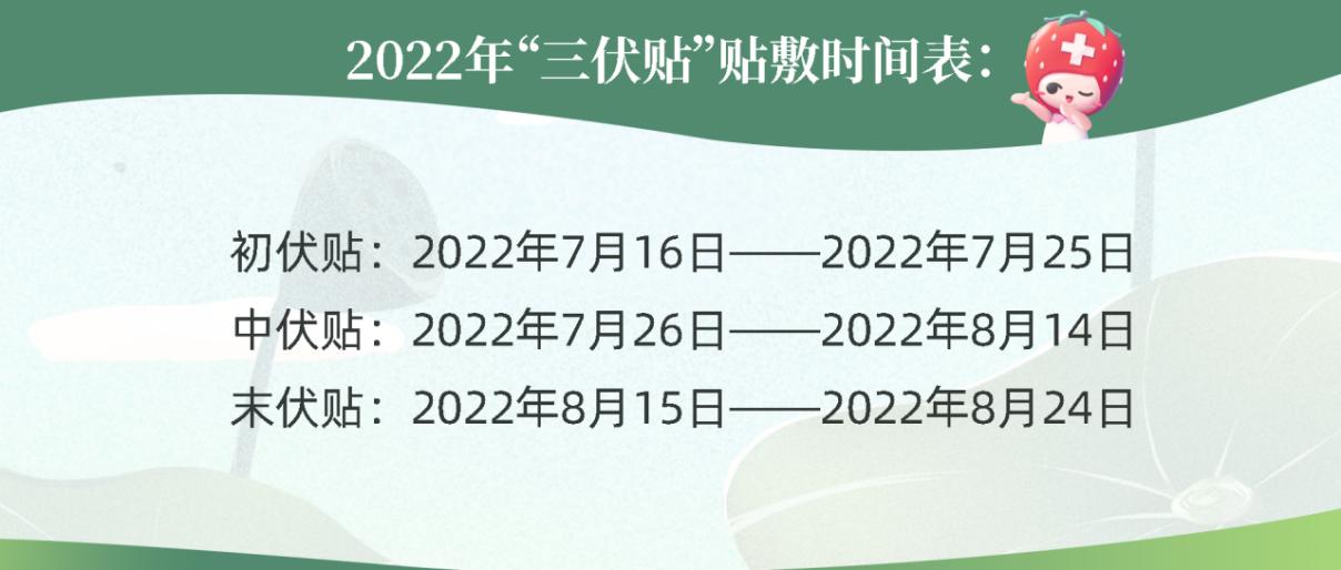 冬病夏治正当时三伏贴火热开贴,冬病夏治三伏贴全文