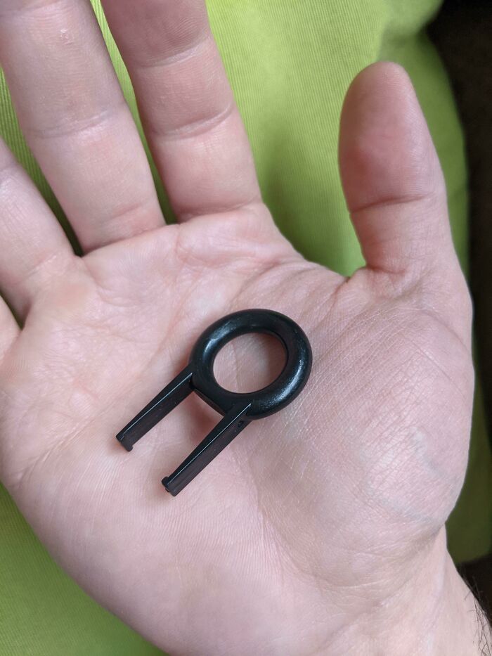 鉴定网上的奇特生物,鉴定神秘生物视频