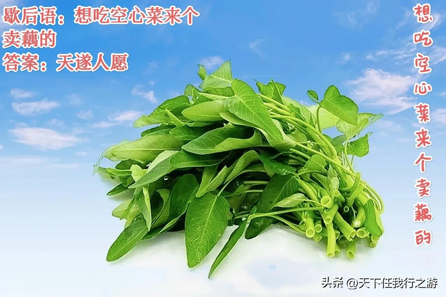 高情商的幽默歇后语台词,一语双关的幽默歇后语