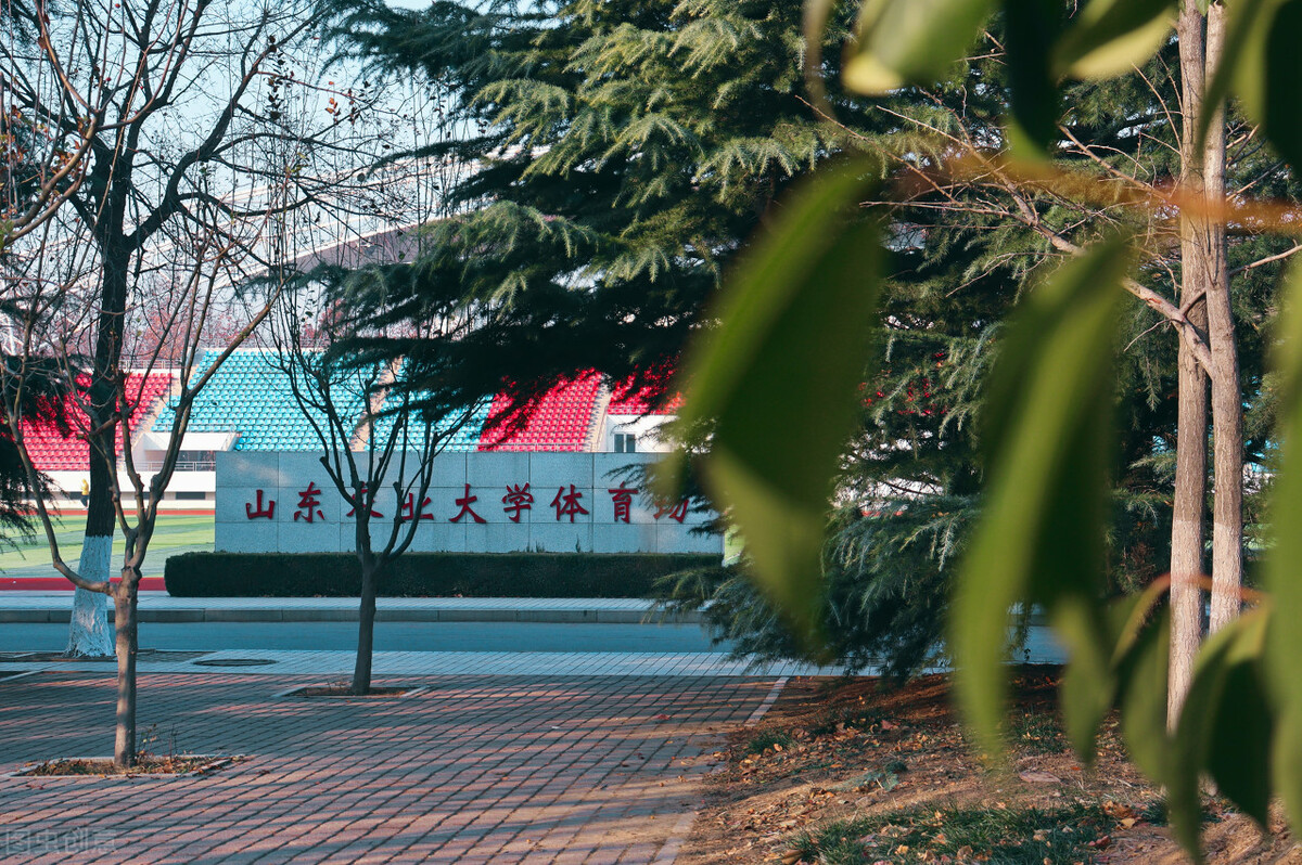 为*山何**东农业大学这么靠谱的大学，今年录取线还不如济南大学呢？