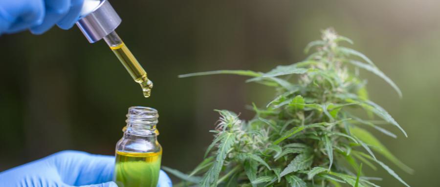 天美被谁接管了,天美生物深度解析