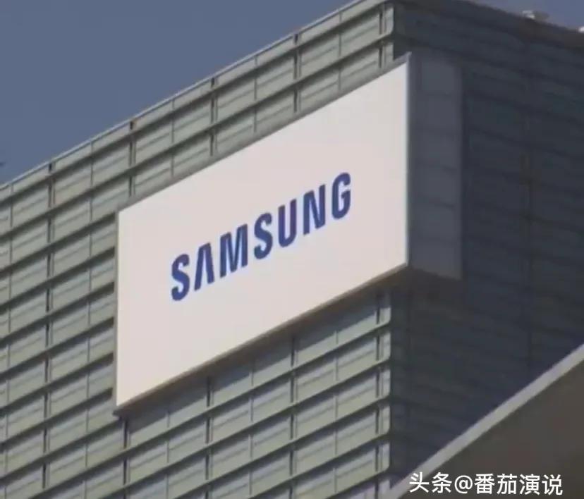 三星电子被起诉后果,三星电子侵权