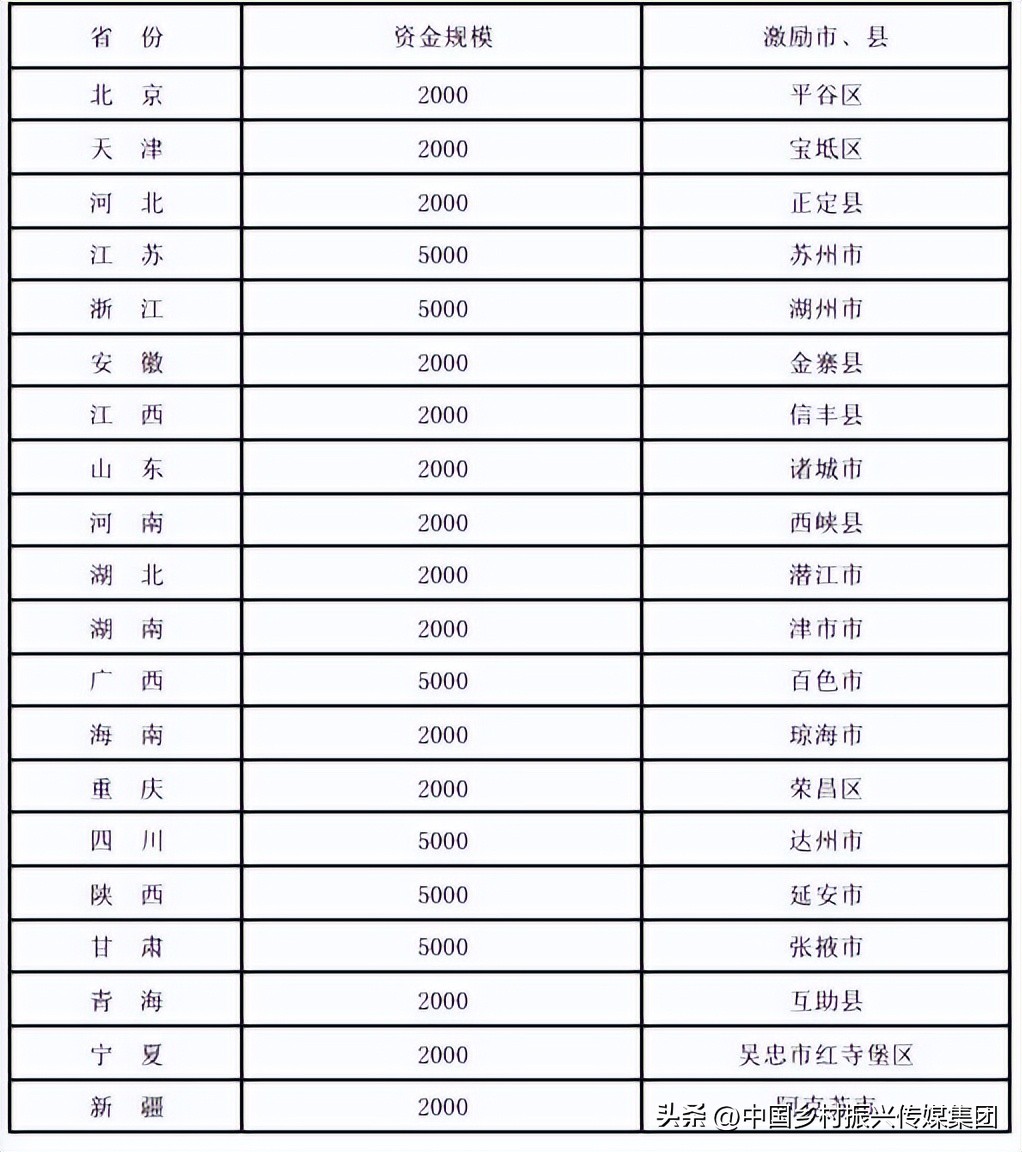 政府扶持乡村振兴的项目有哪些,2024乡村振兴政府补贴重点项目