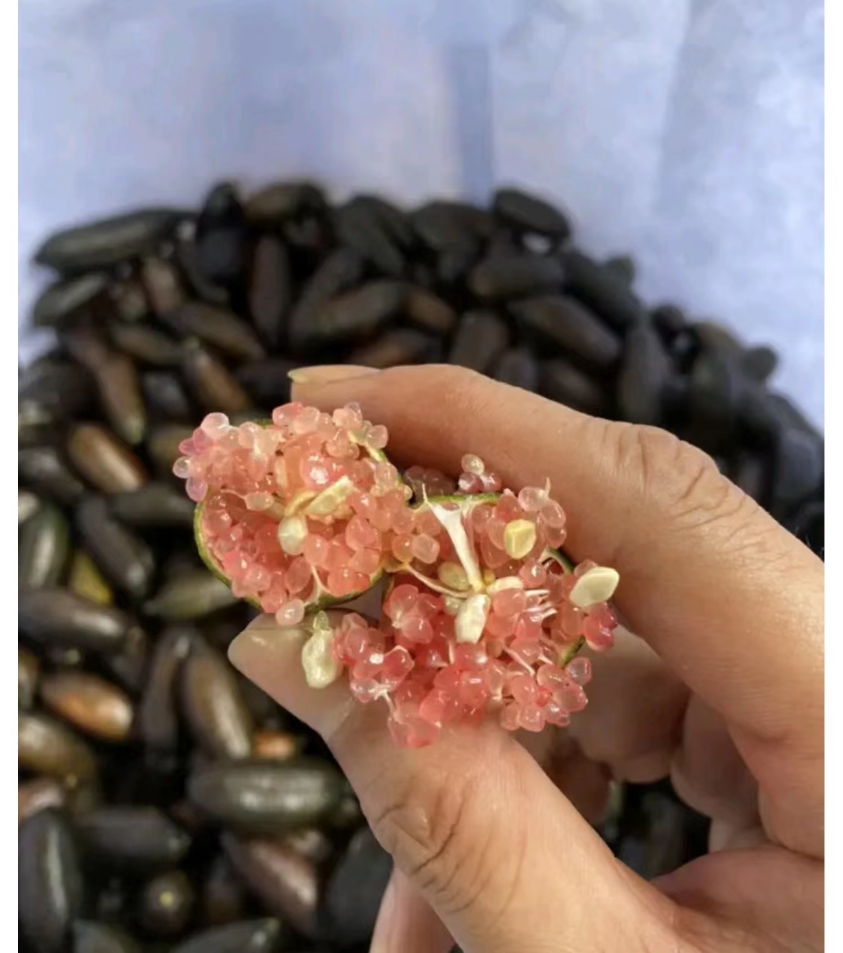 800元一斤的柠檬、最高亩产值20万元的柑橘，你知道这2种水果吗