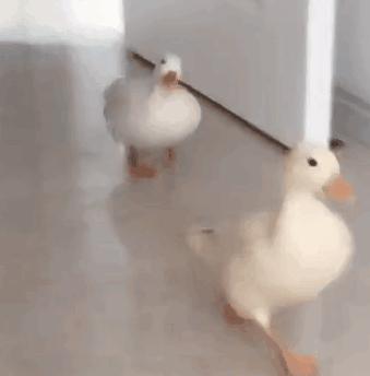 第一次使用飞机杯的经历,应该是我用过的最适合新手的飞机杯了!