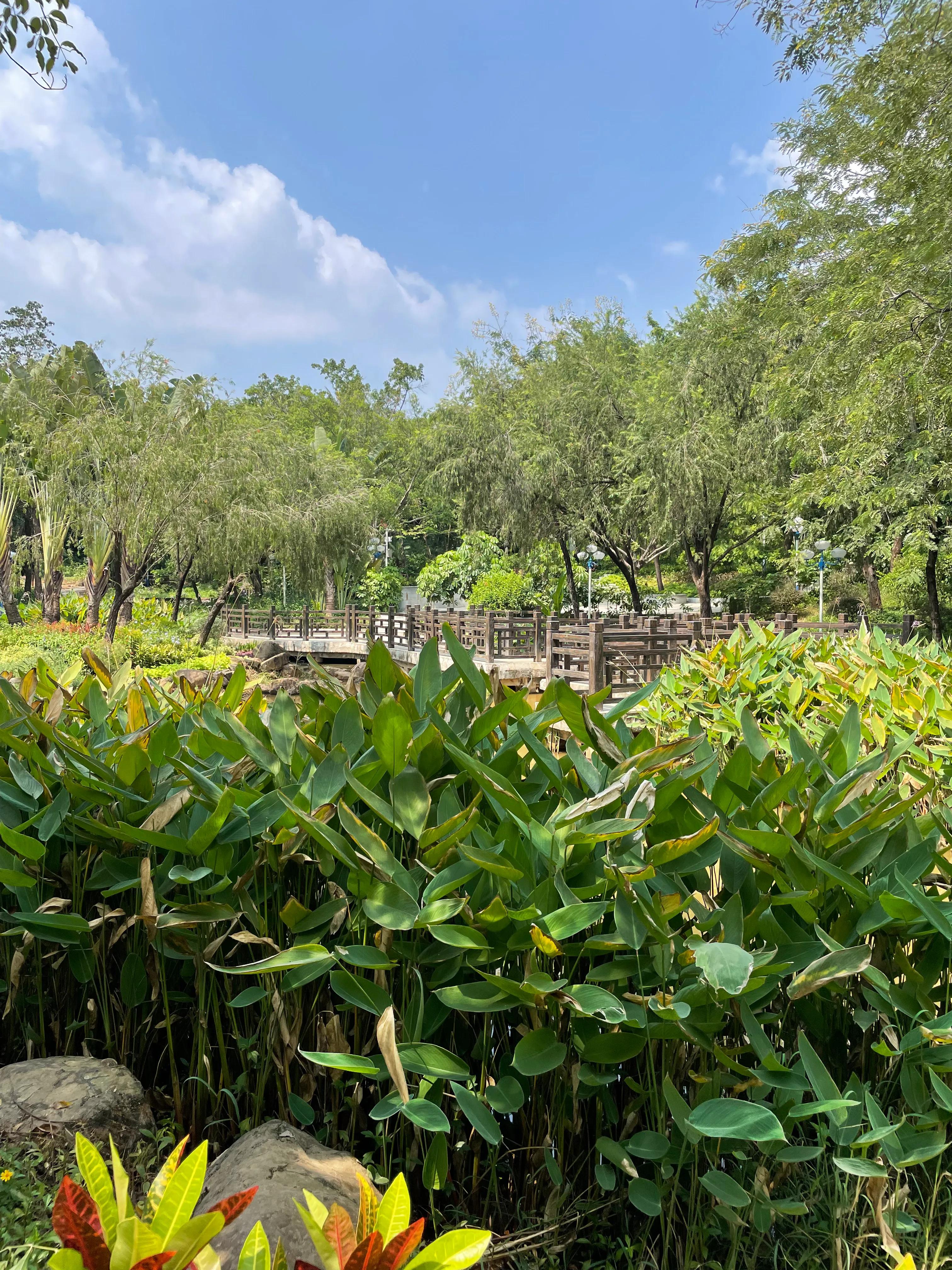 龙岗五联郊野公园,深圳市龙岗区双龙公园