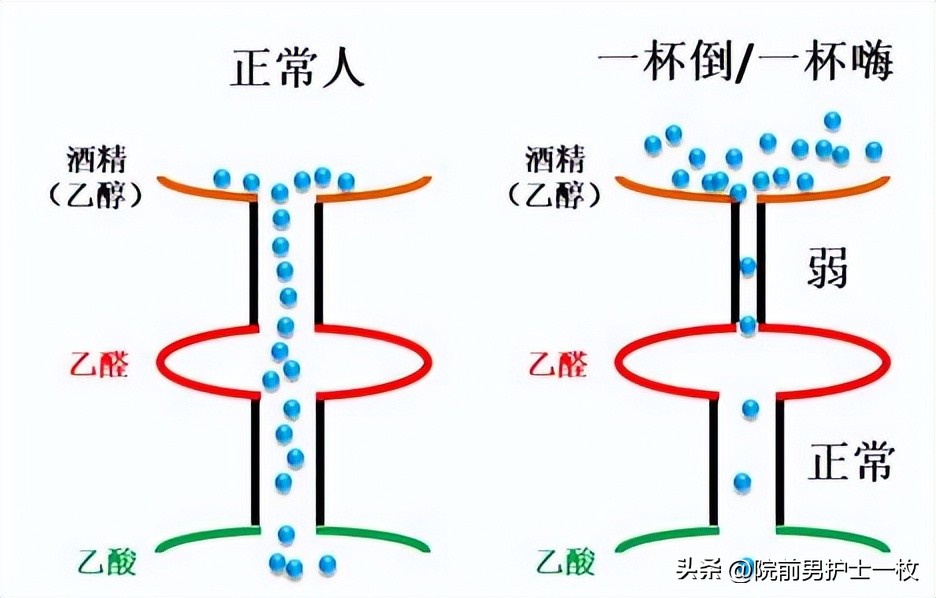 喝酒人脸红是过敏吗,喝酒脸红的人是不是基因有问题