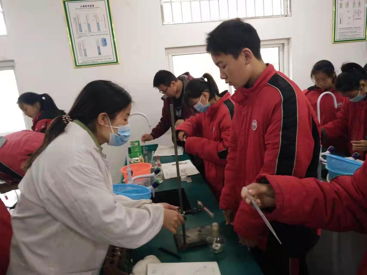 开封县第三十一中学,开封第三十一中学简介