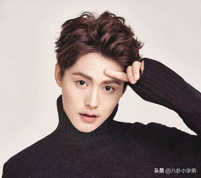 清秀脱俗的男生,清秀的男明星