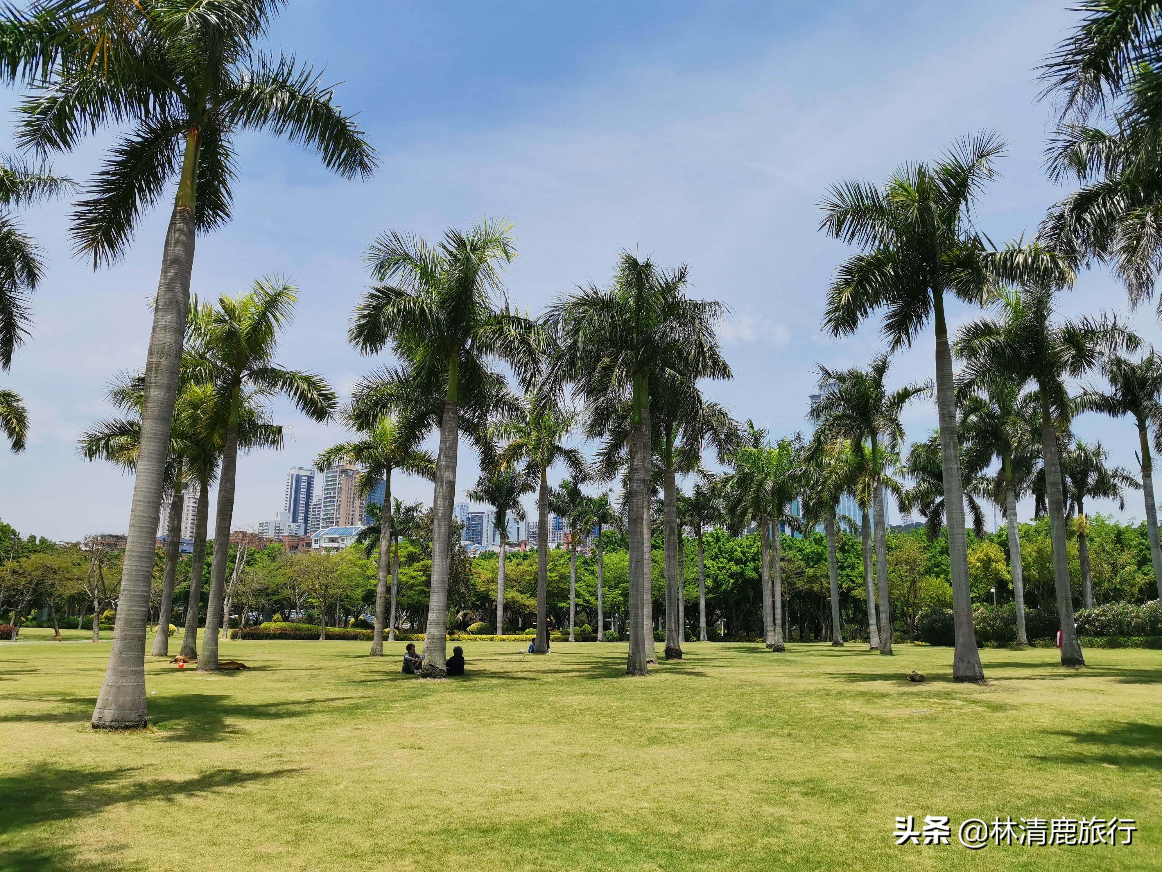 这座宜居二线城市，医疗好气候佳，可看大海可赏花，适合养老旅居