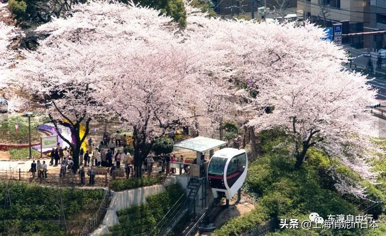 民宿比酒店便宜吗,旅游民宿比酒店便宜