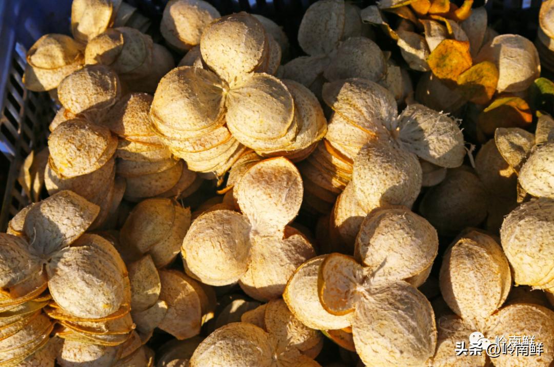 陈皮普洱一杯有暖润感的茶,泡一壶陈皮普洱享受冬日美好时光