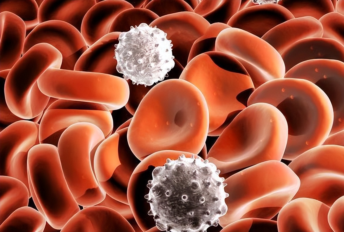 女性身上毛发旺盛什么原因呢,女性身上毛发旺盛什么原因