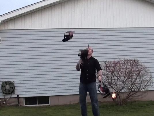 世界上最壮的牛照片,世界最壮的牛图片