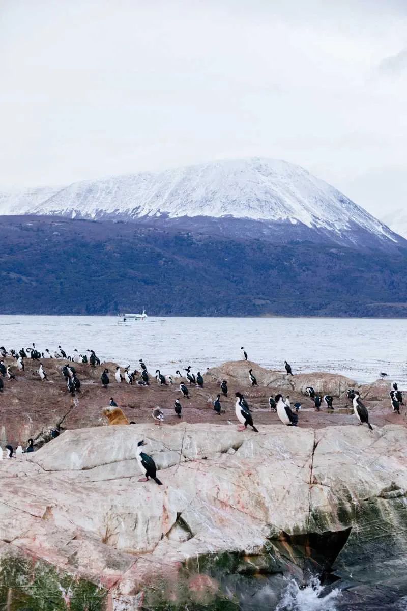 离中国距离最远的国家,距中国最远和最近距离的国家