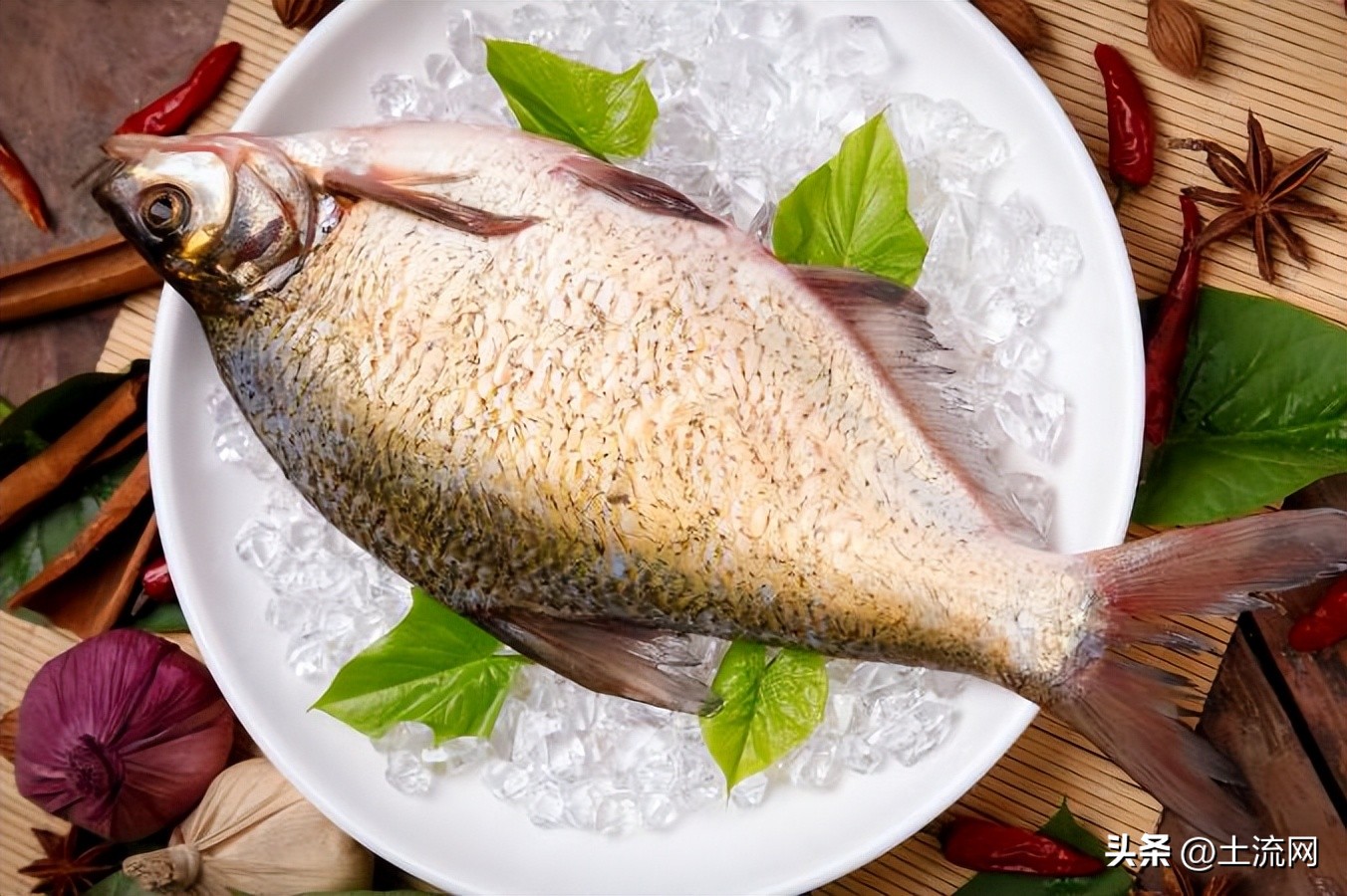 几元一斤武昌鱼是哪个品种,武昌鱼多少钱一斤市场价