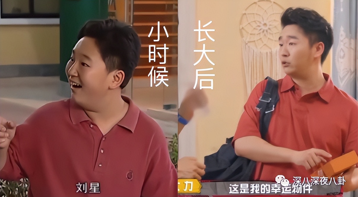 王子腾人物评价,王子腾是男的还是女的