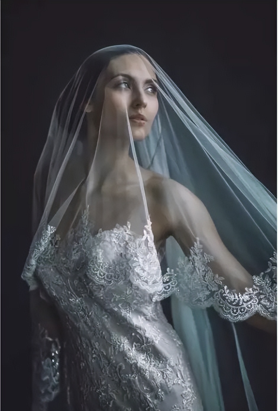 保姆抠图教程视频,如何用魔棒工具抠图