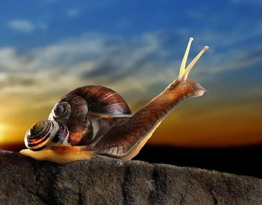 只有赚钱才能治好一切矫情,要努力赚钱不要矫情