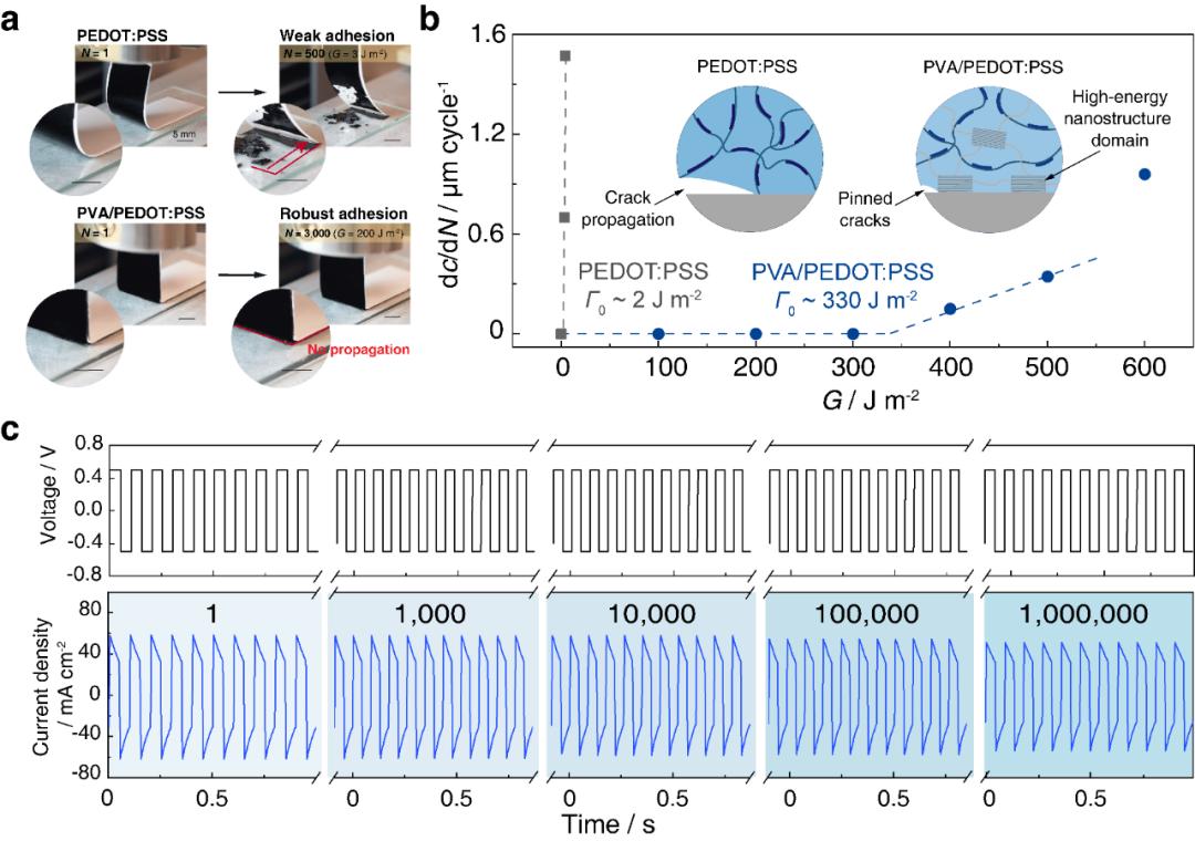 南科大科研成果,南科大研究成果